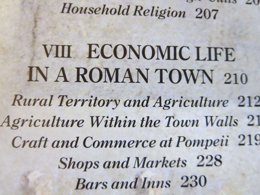 THE COMPLETE POMPEII by Joanne Berry.