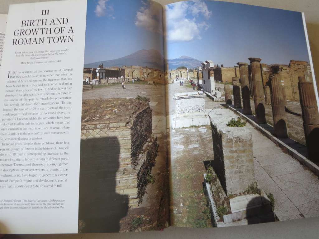 THE COMPLETE POMPEII by Joanne Berry.