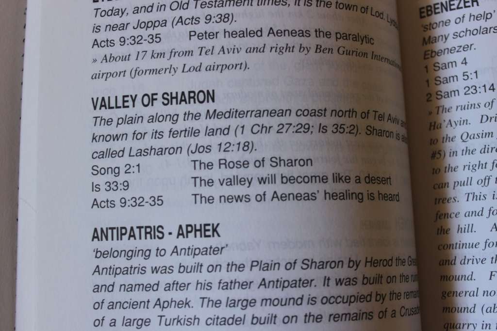 ARISE, WALK THROUGH THE LAND. Roy Turkington.