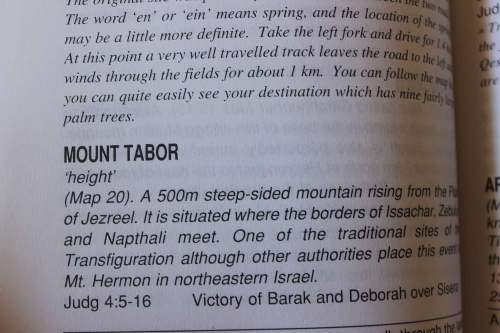 ARISE, WALK THROUGH THE LAND. Roy Turkington.