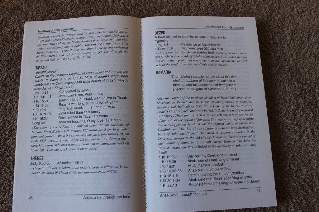 ARISE, WALK THROUGH THE LAND. Roy Turkington.