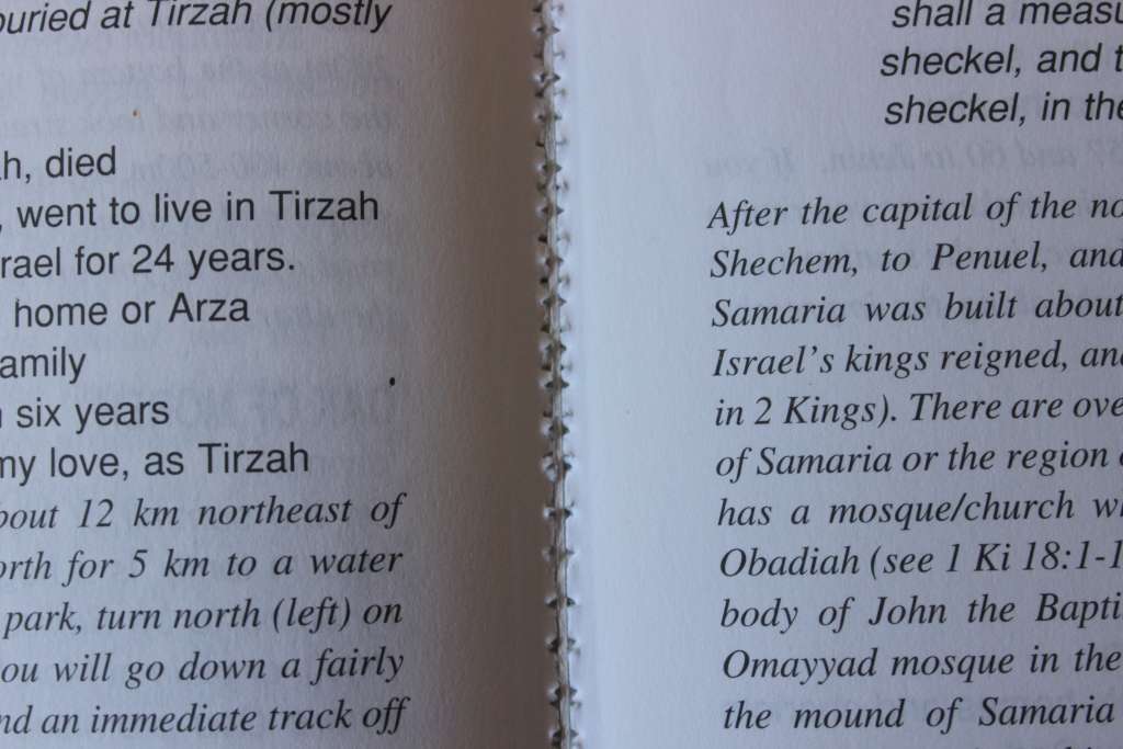 ARISE, WALK THROUGH THE LAND. Roy Turkington.