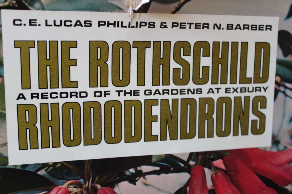 THE ROTHSCHILD RHODODENDRONS A record of the Gardens at Exberg by C.E. Lucas Philips & P N Barber