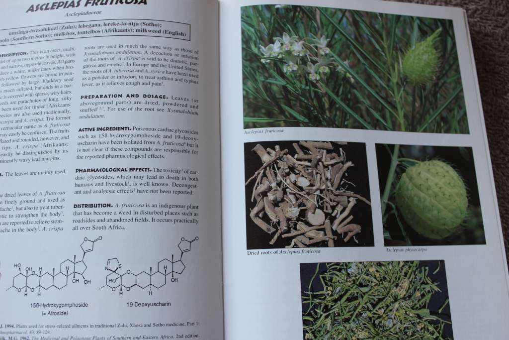 MEDICINAL PLANTS OF SOUTH AFRICA  by Ben-Erik van Wyk, Bosch van Oudtshoorn, Nigel Gericke