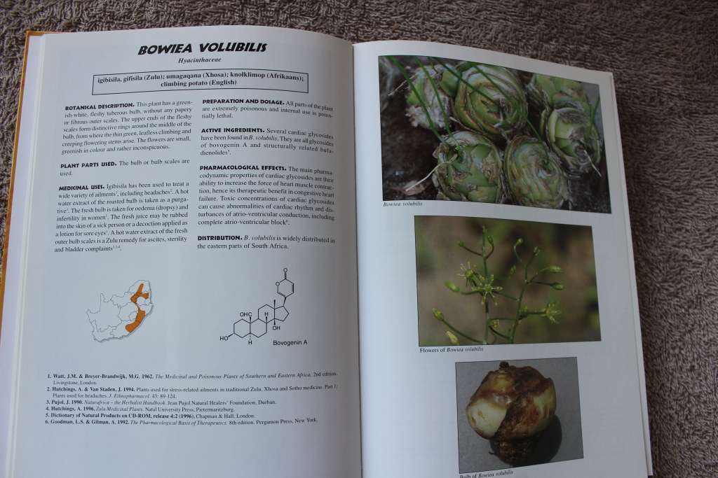 MEDICINAL PLANTS OF SOUTH AFRICA  by Ben-Erik van Wyk, Bosch van Oudtshoorn, Nigel Gericke