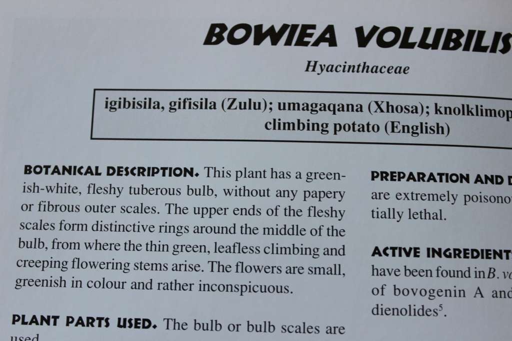 MEDICINAL PLANTS OF SOUTH AFRICA  by Ben-Erik van Wyk, Bosch van Oudtshoorn, Nigel Gericke