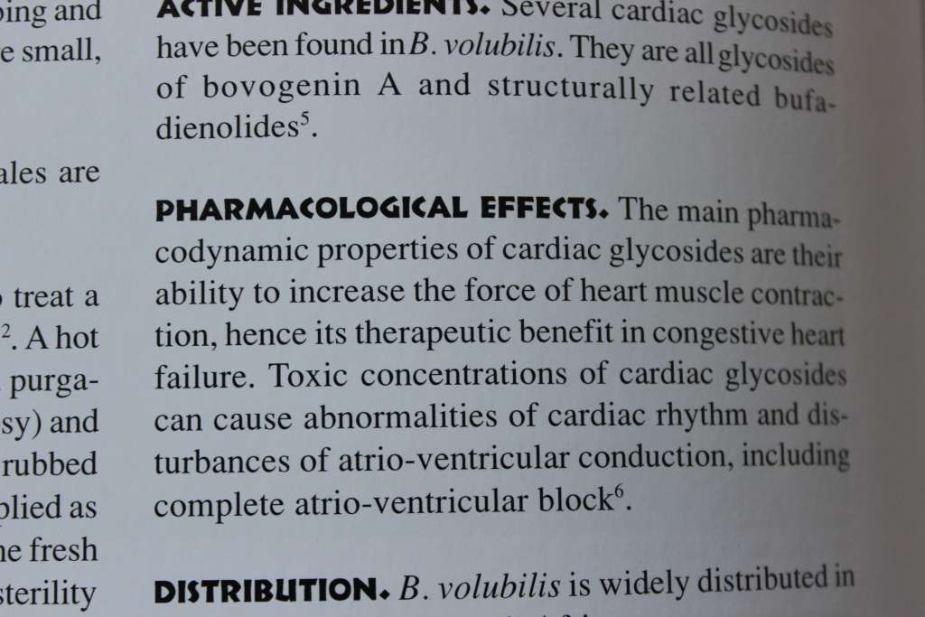 MEDICINAL PLANTS OF SOUTH AFRICA  by Ben-Erik van Wyk, Bosch van Oudtshoorn, Nigel Gericke
