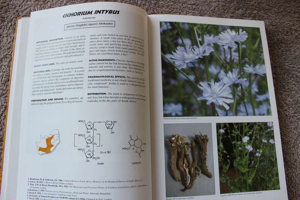 MEDICINAL PLANTS OF SOUTH AFRICA  by Ben-Erik van Wyk, Bosch van Oudtshoorn, Nigel Gericke