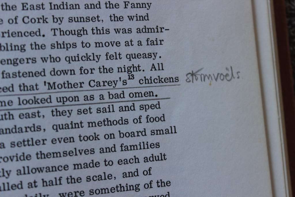 IRISH SETTLERS TO THE CAPE (1820 Settlers)  by G. B. Dickason