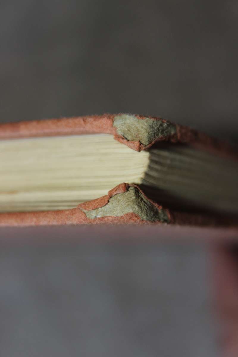 IRISH SETTLERS TO THE CAPE (1820 Settlers)  by G. B. Dickason