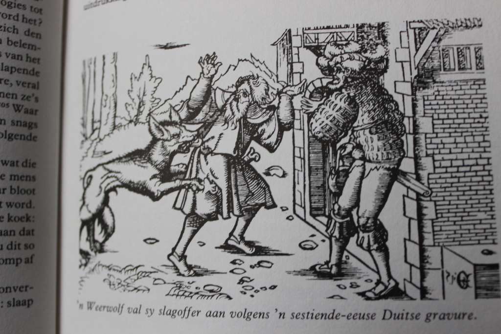 BOEREWYSHEID  (Die Afrikaner en sy kultuur Deel VI)  deur Grobbelaar, Hudson en Van der Merwe