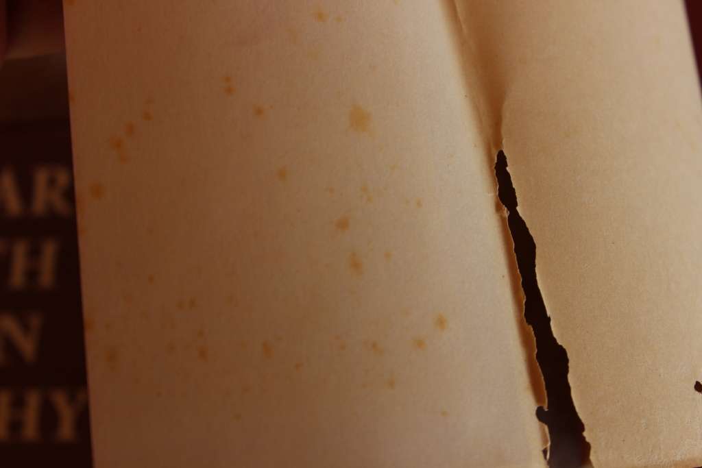 DICTIONARY OF SOUTH AFRICAN BIOGRAPHY. Volumes I and II.   (W)