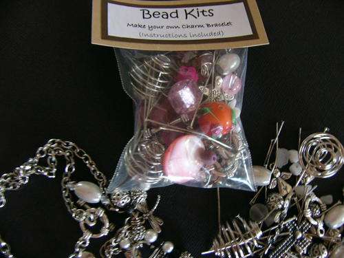 Charm Bracelet DIY Kit