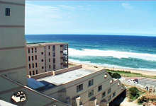 Perna Perna 2 Umdloti - NO RESERVE