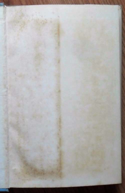 A RHAPSODY IN BLUE by Lennox van Onselen