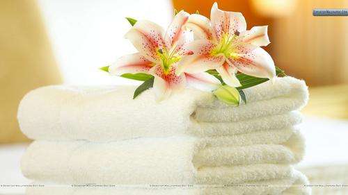 big sale bath  3 TOWELS SET dont miss this great deal