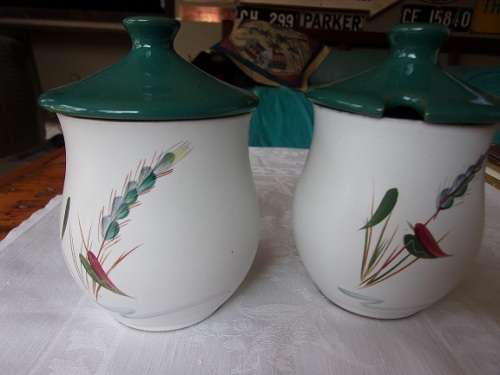 Vintage 31 piece Denby "Greenwheat" ceramic hors d'oeuvre set - designed by Albert Colledge