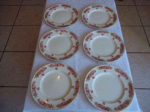 6 x Royal Doulton Roses & Wattle large dinner plates