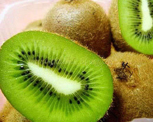 100 KIWI FRUIT Actinidia Vine Seeds