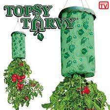 Vegetable and Herb Grower