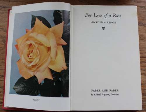 For Love of a Rose by Antonia Ridge