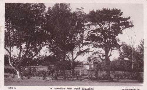 Port Elizabeth South-Africa Picture Postcard used in Cape of Good Hope period