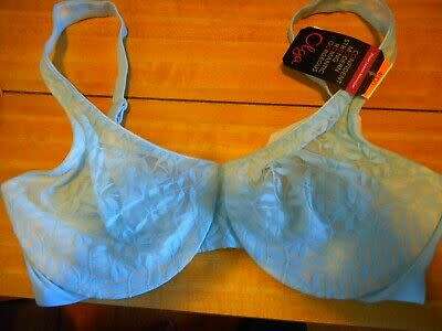 Olga Sheer Leaves Padded T-Shirt Lace Minimizer Bra Aqua Blue 42DD