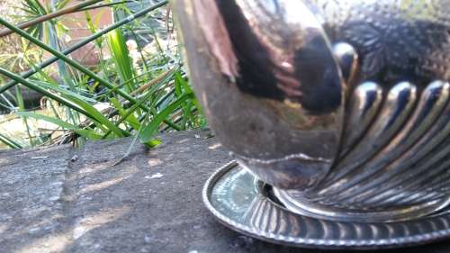 Electroplated Silver Teapot