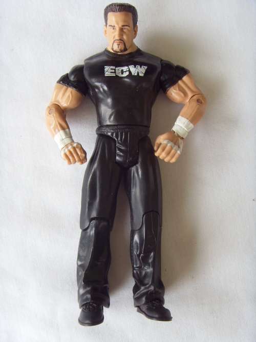 2003 JAKKS WWE ACTION FIGURE