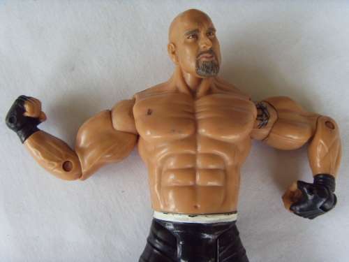 2003 JAKKS WWE ACTION FIGURE