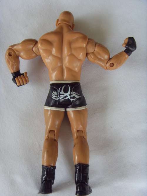 2003 JAKKS WWE ACTION FIGURE