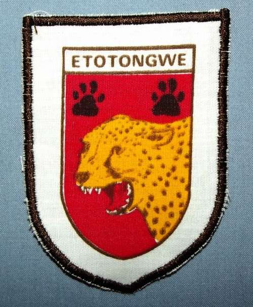 KOEVOET ETOTONGWE CLOTH PRINTED TYPE ARM FLASH