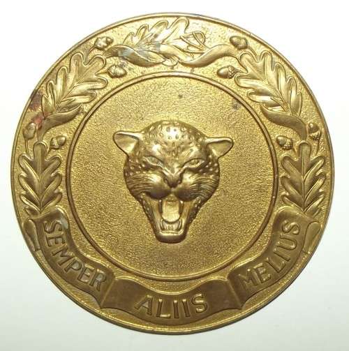 SADF 6 SA Infantry Brass Badge