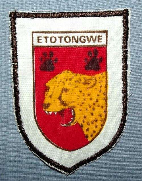 KOEVOET ETOTONGWE CLOTH PRINTED TYPE ARM FLASH