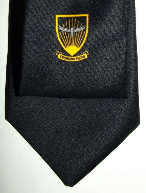 SAAF Gymnasium Insignia Tie