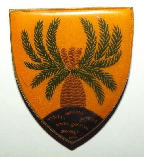 SADF 4 SA Infantry Battalion Orange Type Metal Shoulder Flash