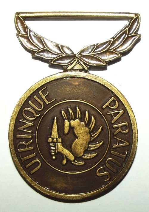 Old SA Coin Security 2 Years Faithful and Loyal Service Full Size Medal