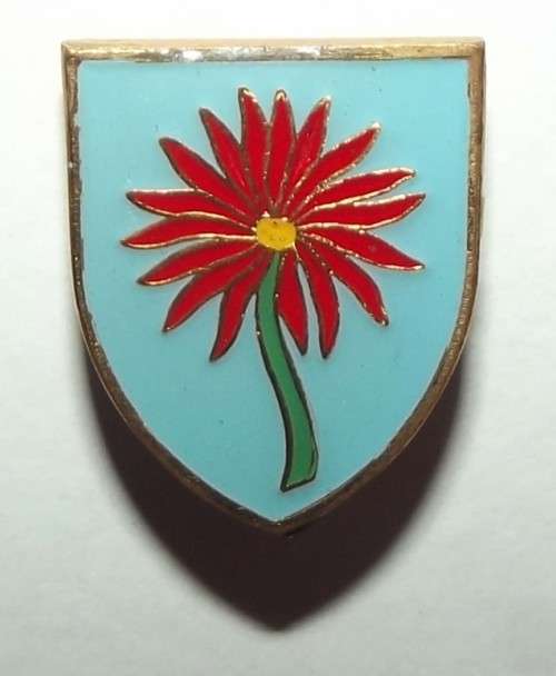 Old Northern Transvaal Rugby Lapel Pin Badge