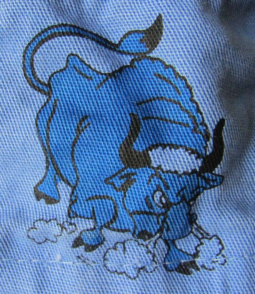 Old Northern Transvaal Blue Bulls Rugby Hat