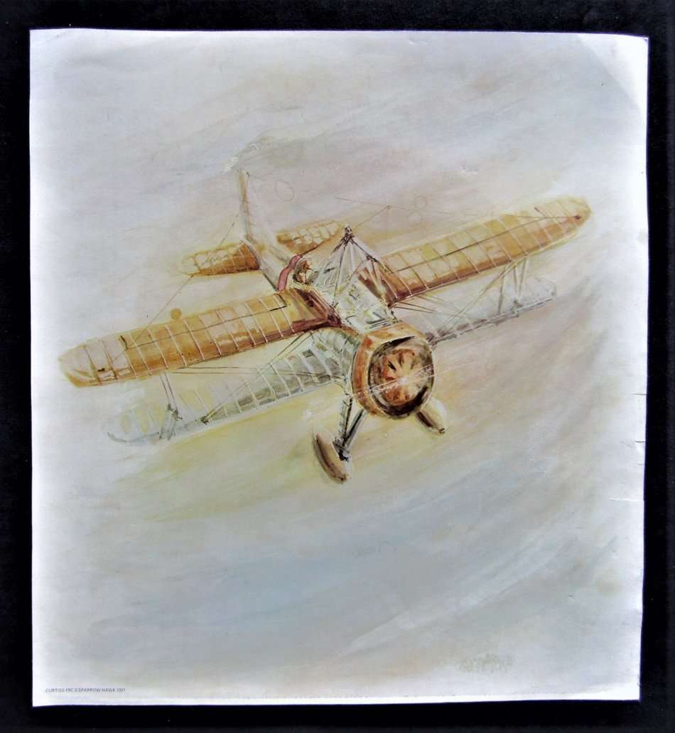 1931 Curtiss F9C-2 Sparrow Hawk Aircraft Poster