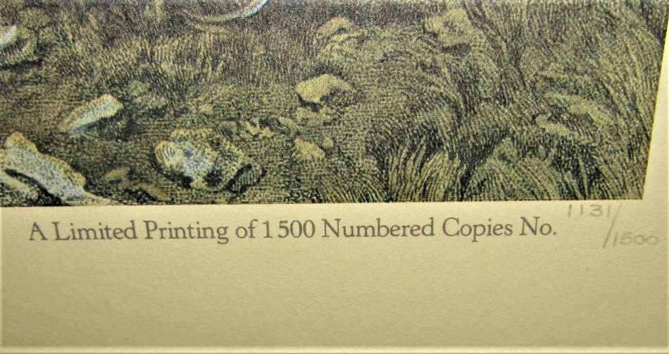 1881 Boer War Battle of Laing's Nek - Limited Edition Fine Art Printing (1981)