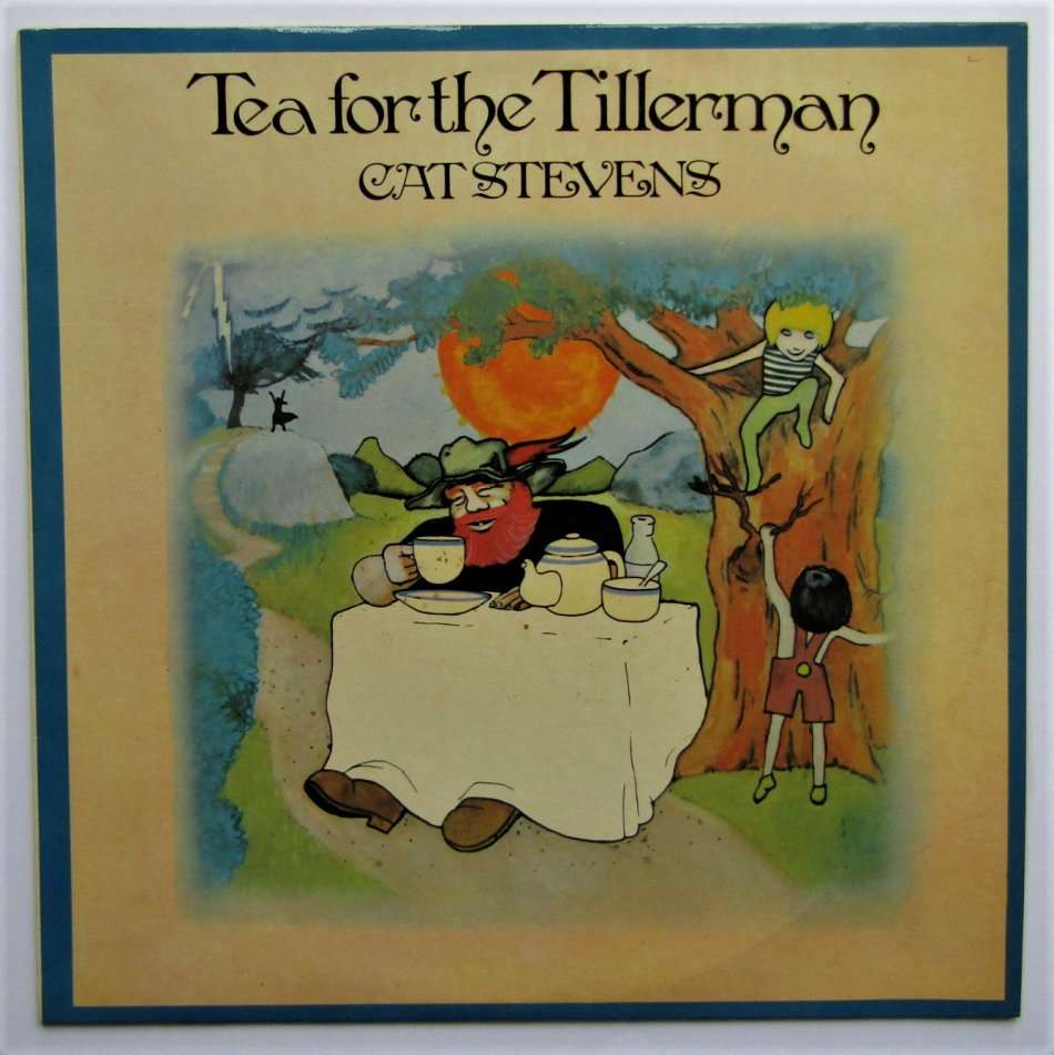 Cat Stevens - Tea for the Tillerman - Vinyl LP Record (1979)