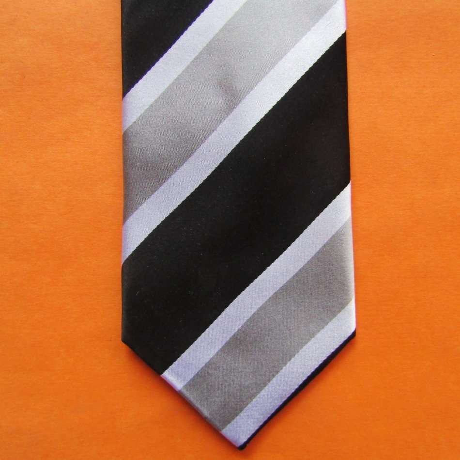 Pierre Cardin Designer Neck Tie