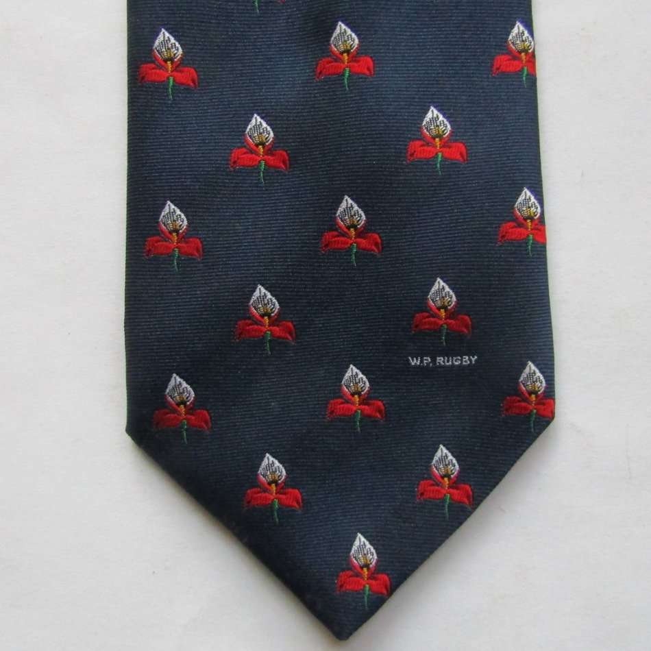 Old WP Western Province Rugby Neck Tie