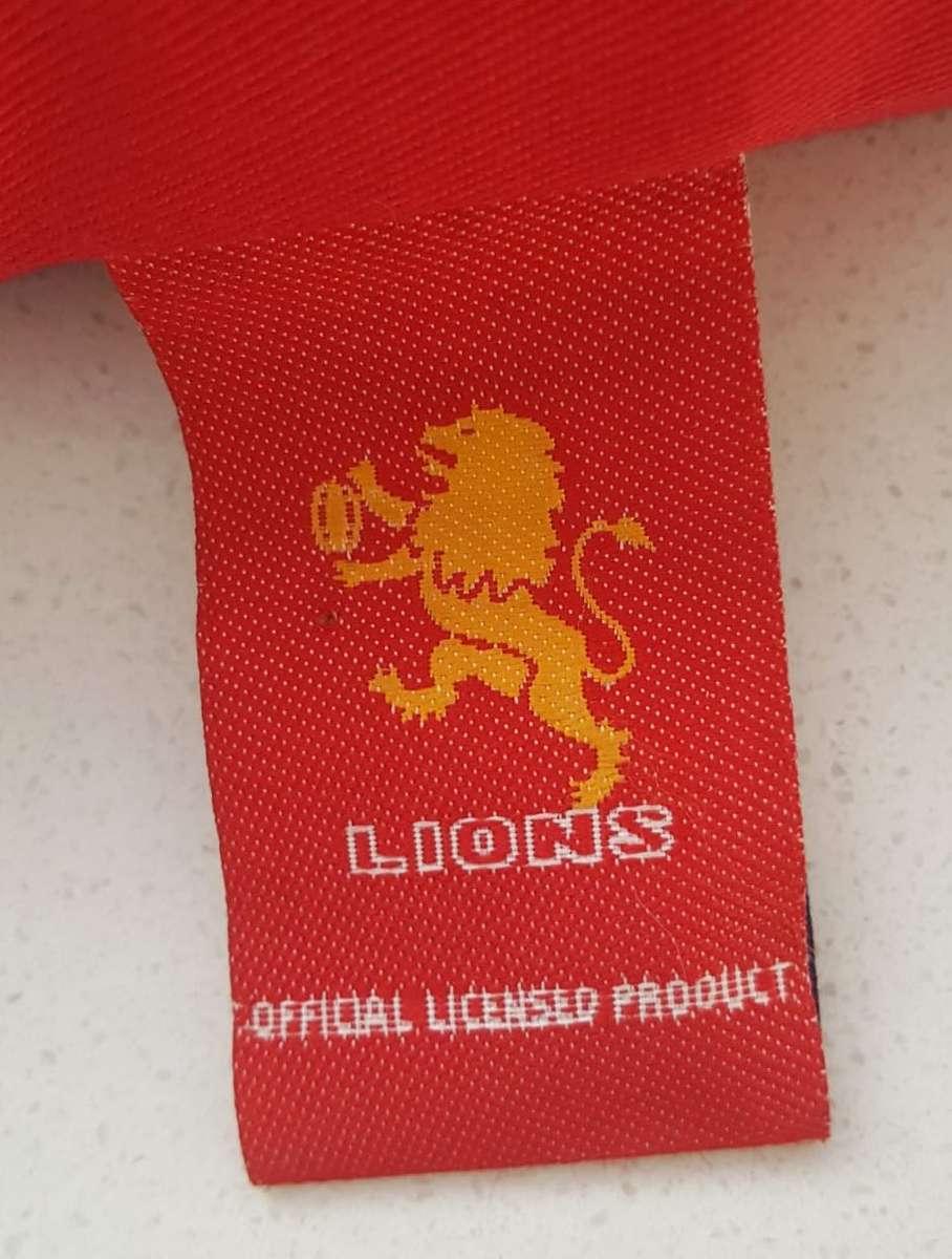 Lions Rugby Spectator Cushion