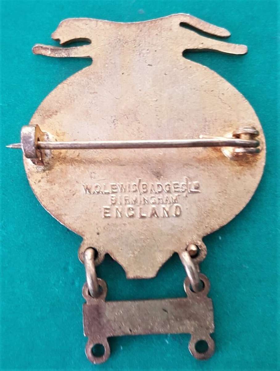 1963 AA Automobile Association East African Safari Lapel Pin Badge