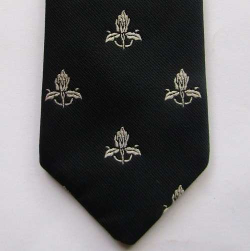 Old WP Western Province Rugby Neck Tie