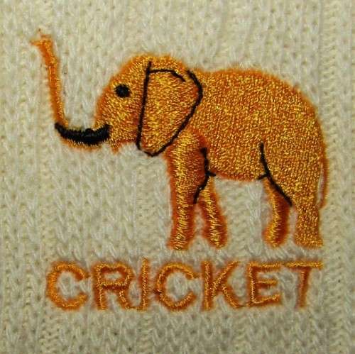 2004 KZN Midlands Cricket Jersey