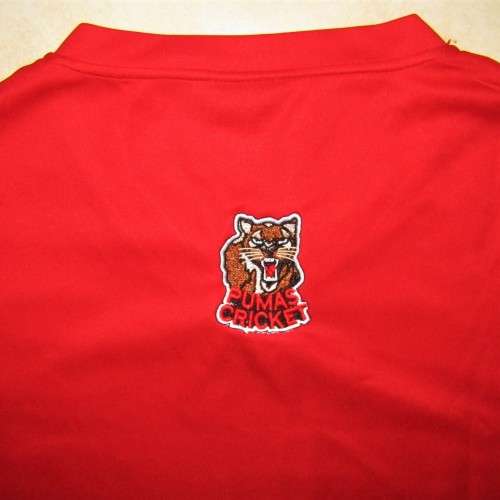 Long Sleeve Pumas Cricket Jersey