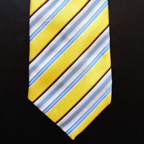 Pierre Cardin Paris Designer Neck Tie